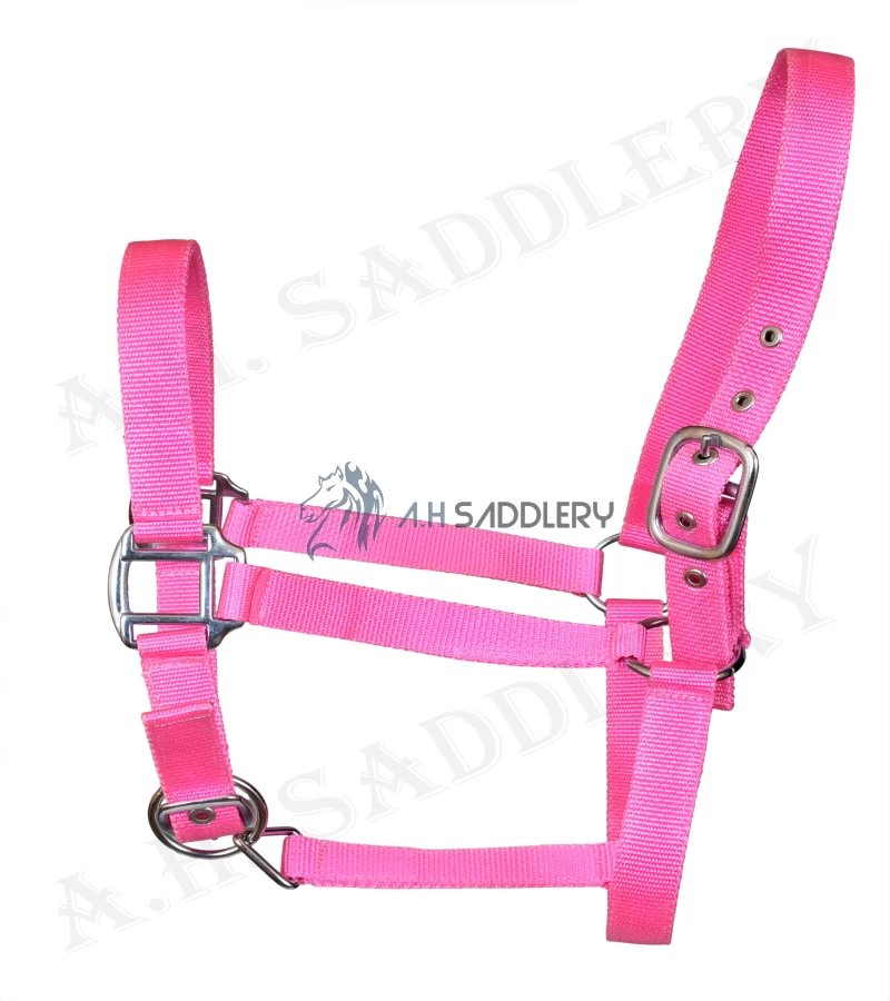 Premium Nylon Horse Halters for Training and Showmanship | Adjustable and Durable